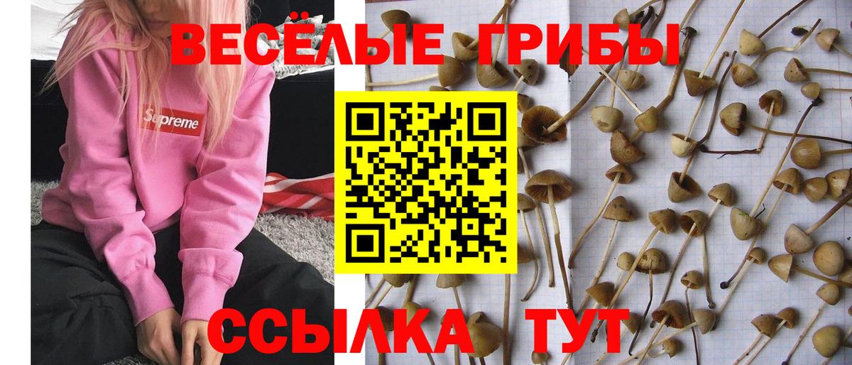 Галлюциногенные грибы Magic Shrooms  Вход с VPN  Можайск 